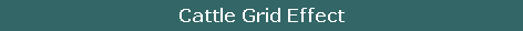 Cattle Grid Effect