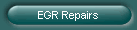 EGR Repairs