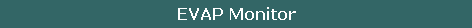 EVAP Monitor