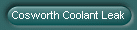 Cosworth Coolant Leak